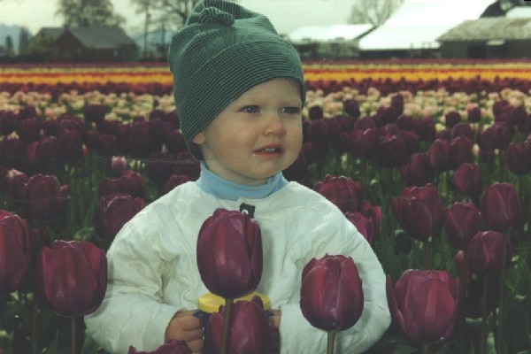 Terrill's daughter Zoe standing in a tulip field, tulips extending to the horizon