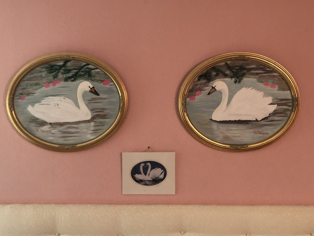 Two painted swans in separate frames, facing each other