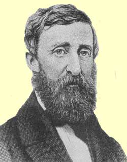 Henry David Thoreau with tame but thick full beard