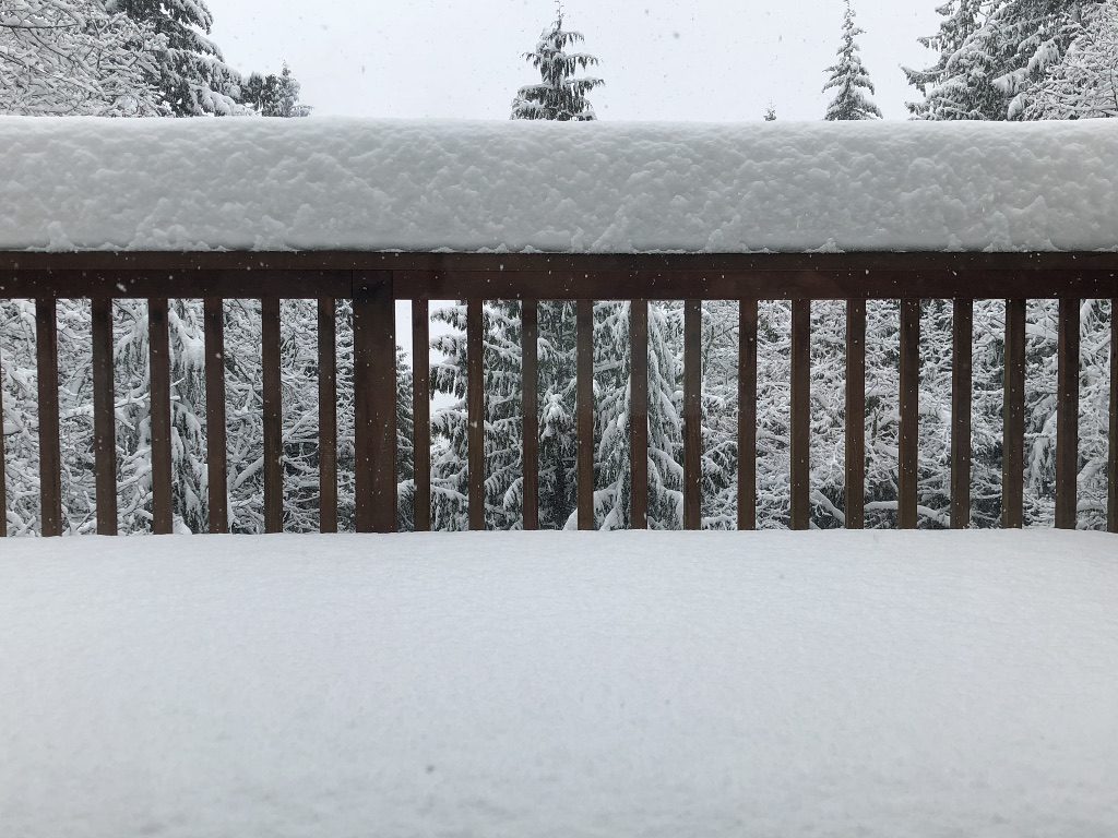 14 inches of snow piled high on Terrill's deck