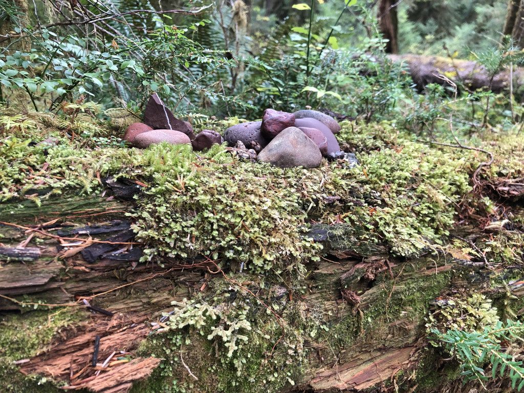 A pile of small red stones on a mossy log